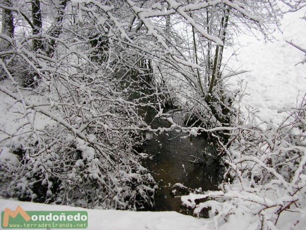 Nevada en Tronceda
Foto enviada por MCC.
