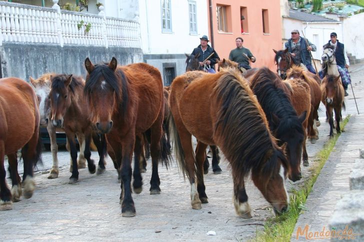 As Quendas 2009
Los caballos por Mondoñedo
