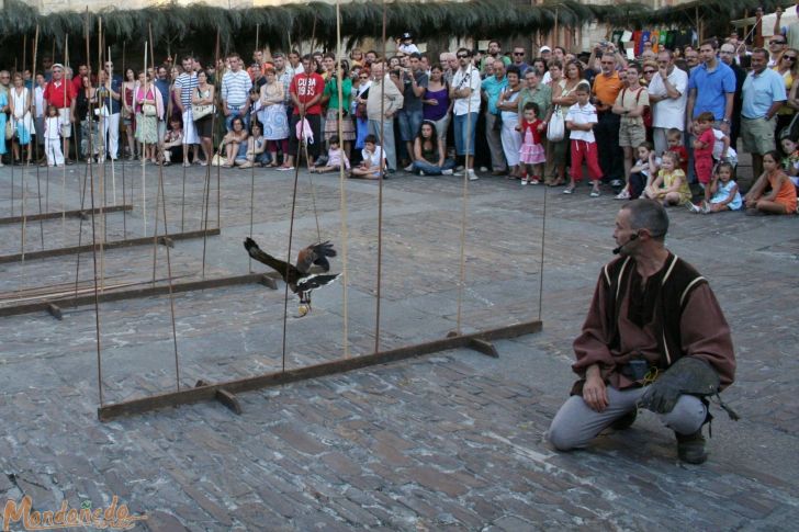Mercado Medieval 2008
Exhibición de vuelo
