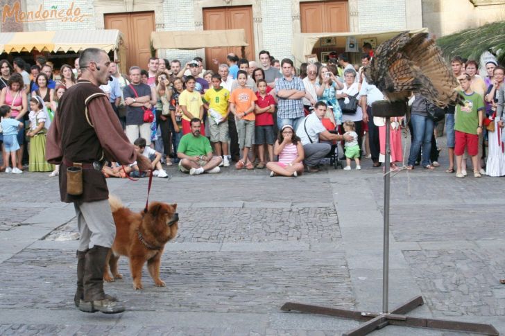 Mercado Medieval 2008
Exhibición de cetrería
