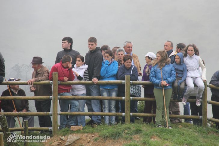 Rapa das Bestas
Público
