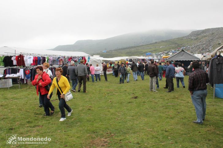 Rapa das Bestas
Puestos de la feria
