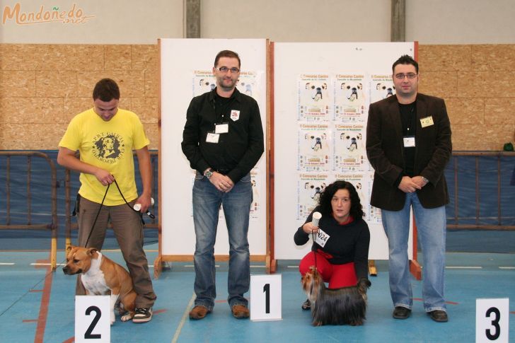 Concurso Canino
Entrega de premios

