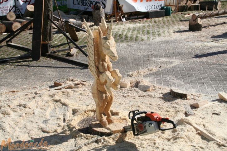 As San Lucas 2007
Figuras de madera
