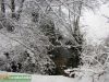 Nombre del archivo=00_col_nieve03.jpg
Tamaño del archivo=143KiB
Dimensiones=620x465
Fecha añadida=Marzo 05, 2005 00_col_nieve03.jpg