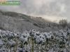 Nombre del archivo=00_col_nieve08.jpg
Tamaño del archivo=93KiB
Dimensiones=620x465
Fecha añadida=Marzo 05, 2005 00_col_nieve08.jpg