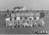 Nombre del archivo=juvenilesmindoniense.jpg
Tamaño del archivo=56KiB
Dimensiones=581x421
Fecha añadida=Junio 06, 2004 juvenilesmindoniense.jpg