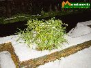 Nombre del archivo=neve03.jpg
Tamaño del archivo=76KiB
Dimensiones=560x420
Fecha añadida=Junio 04, 2004 neve03.jpg