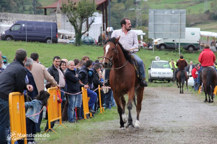 As San Lucas 2012
