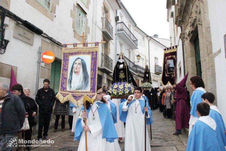 Domingo de Ramos
