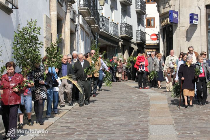Domingo de Ramos
Procesión de Ramos
