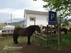 mondonedo_net_01052017_0029.jpg